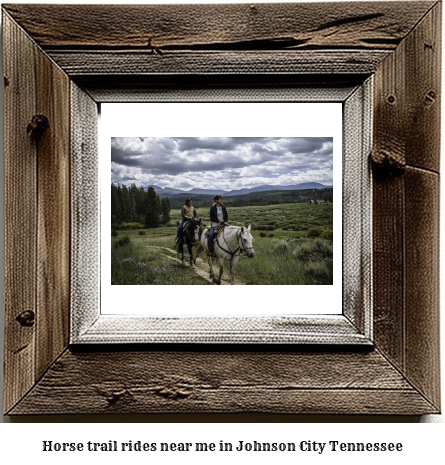 horse trail rides near me in Johnson City, Tennessee